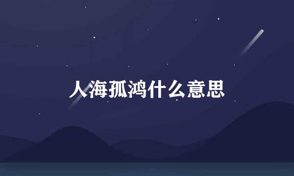 人海孤鸿什么意思