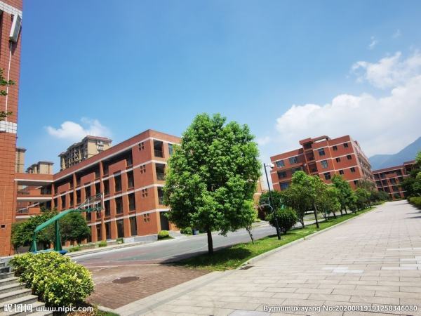 宜昌小学排名源吸府室衣前十学校排名