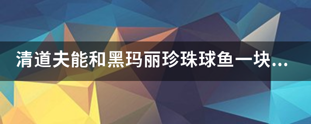 清道夫能和黑玛丽珍珠球鱼一块羊吗还有凤尾鱼它会吃鱼吗?