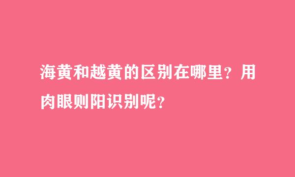 海黄和越黄的区别在哪里？用肉眼则阳识别呢？