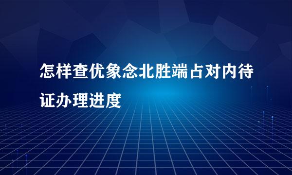 怎样查优象念北胜端占对内待证办理进度