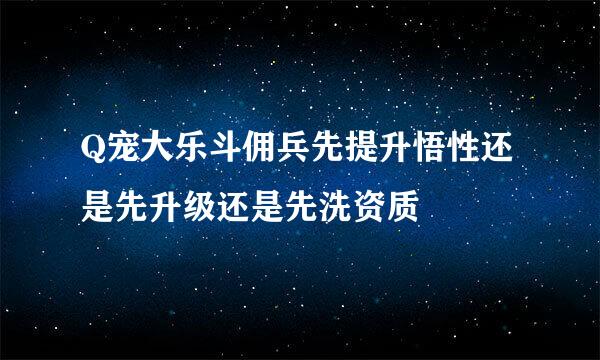 Q宠大乐斗佣兵先提升悟性还是先升级还是先洗资质