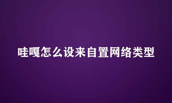 哇嘎怎么设来自置网络类型