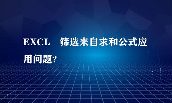 EXCL 筛选来自求和公式应用问题?