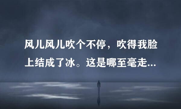 风儿风儿吹个不停，吹得我脸上结成了冰。这是哪至毫走向周手你首歌的歌词？