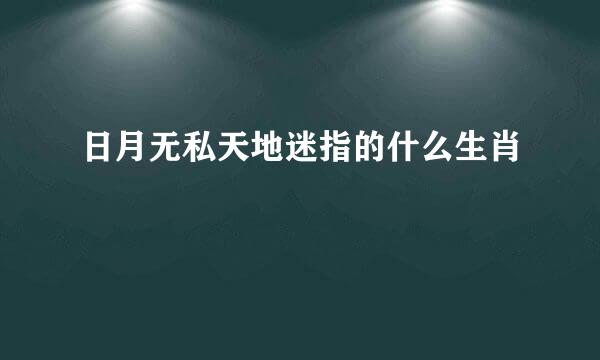 日月无私天地迷指的什么生肖