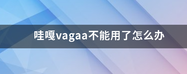 哇嘎vaga来自a不能用了怎么办