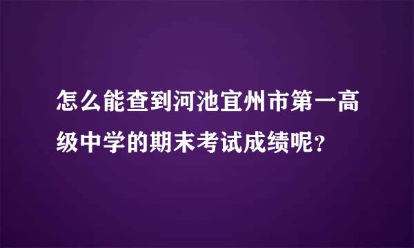 怎么能查到河池宜州市第一高级中学的期末考试成绩呢？