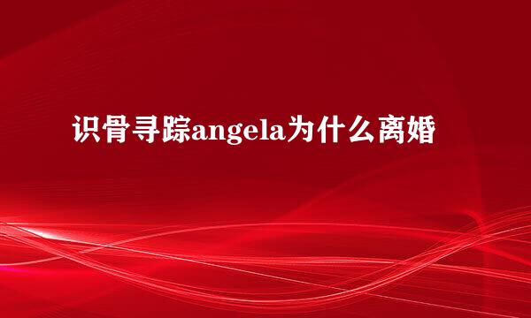 识骨寻踪angela为什么离婚