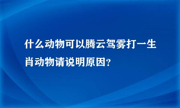 什么动物可以腾云驾雾打一生肖动物请说明原因？