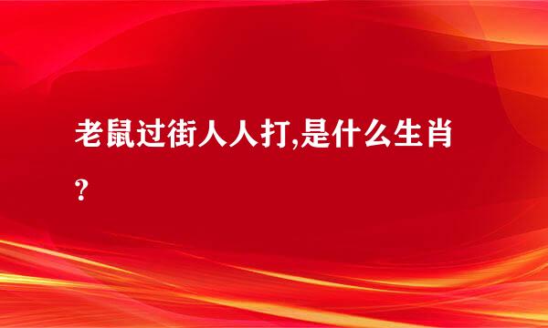 老鼠过街人人打,是什么生肖？