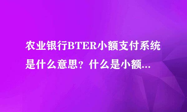 农业银行BTER小额支付系统是什么意思？什么是小额支付系统？