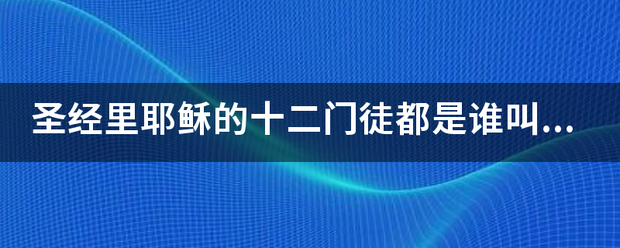 圣经里耶稣的十二门徒都是谁叫什么名字？