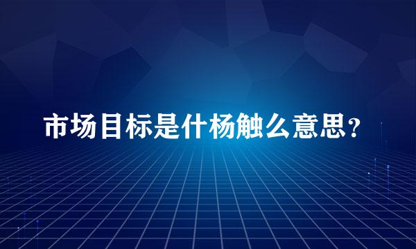 市场目标是什杨触么意思？