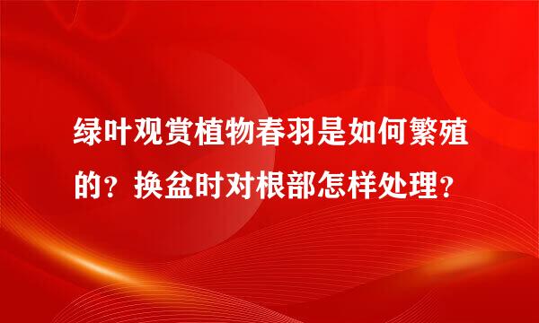 绿叶观赏植物春羽是如何繁殖的？换盆时对根部怎样处理？