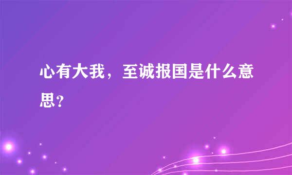 心有大我，至诚报国是什么意思？