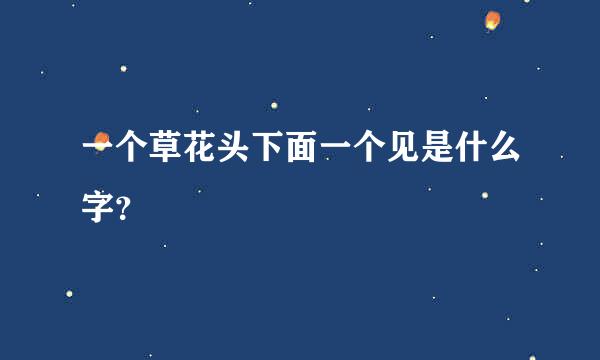 一个草花头下面一个见是什么字？