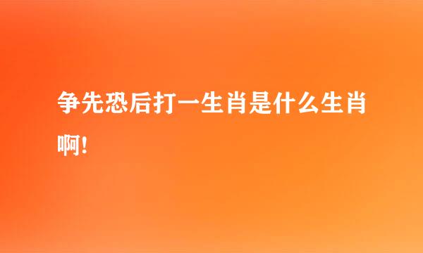 争先恐后打一生肖是什么生肖啊!