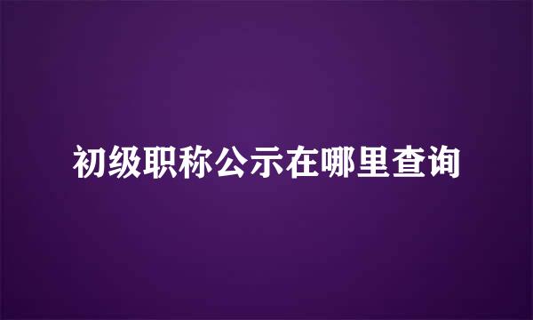 初级职称公示在哪里查询