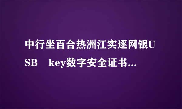 中行坐百合热洲江实逐网银USB key数字安全证书管理工具怎么安装