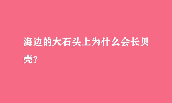 海边的大石头上为什么会长贝壳？