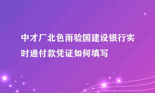 中才厂北色雨验国建设银行实时通付款凭证如何填写