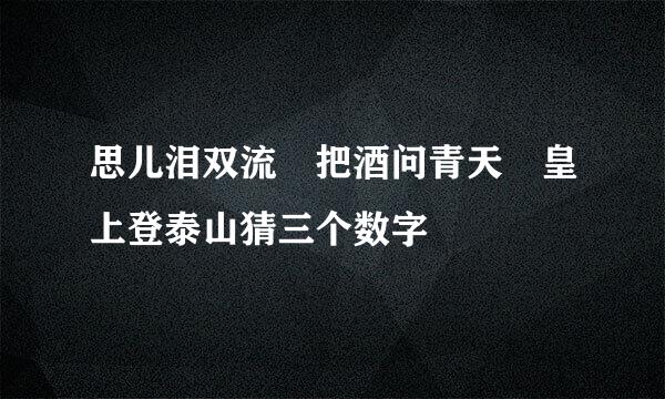 思儿泪双流 把酒问青天 皇上登泰山猜三个数字