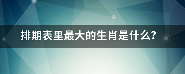 排期表里最大的生肖是什么？