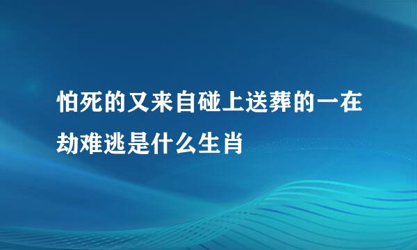 怕死的又来自碰上送葬的一在劫难逃是什么生肖