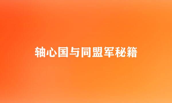 轴心国与同盟军秘籍