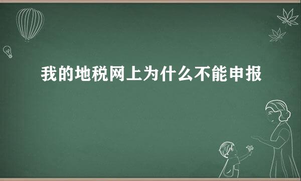 我的地税网上为什么不能申报