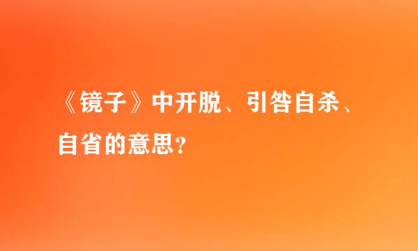 《镜子》中开脱、引咎自杀、自省的意思？