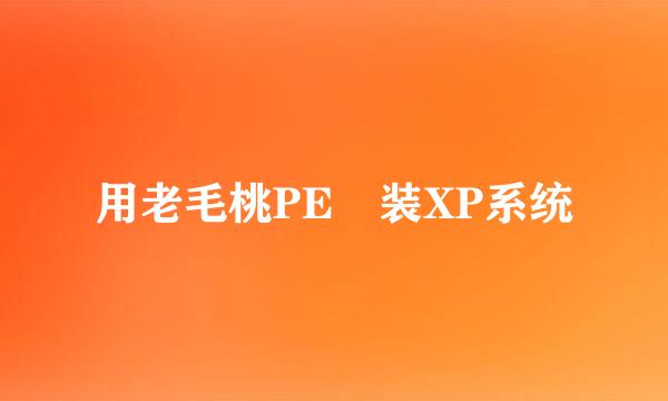 用老毛桃PE 装XP系统