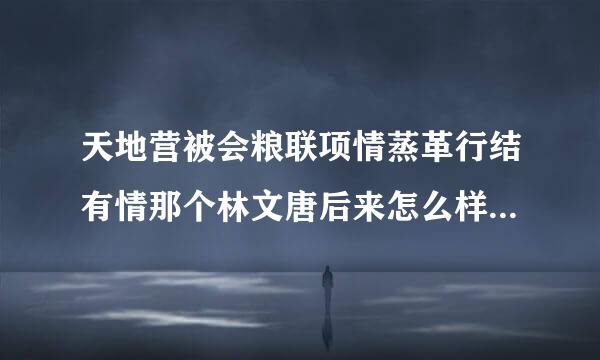 天地营被会粮联项情蒸革行结有情那个林文唐后来怎么样了(整雨受评认久大结局时)？