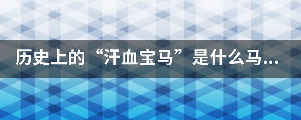 历史上的“汗血宝马”是什么马的别称？