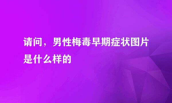 请问，男性梅毒早期症状图片是什么样的