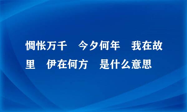 惆怅万千 今夕何年 我在故里 伊在何方 是什么意思