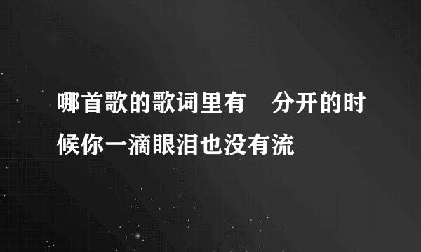 哪首歌的歌词里有 分开的时候你一滴眼泪也没有流