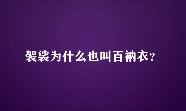 袈裟为什么也叫百衲衣？