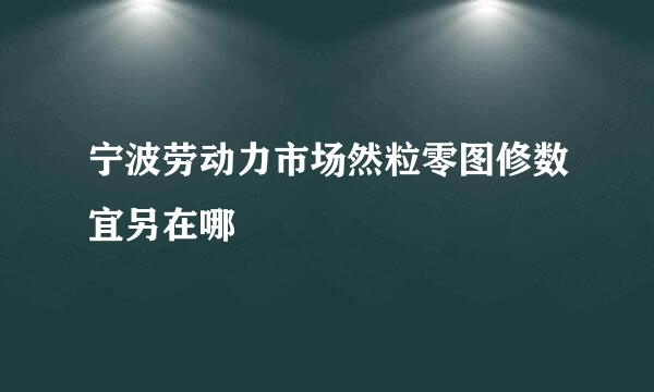 宁波劳动力市场然粒零图修数宜另在哪