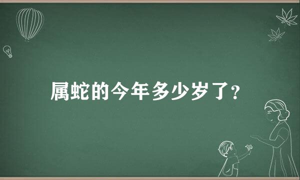 属蛇的今年多少岁了？