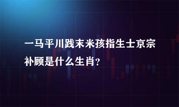 一马平川践末米孩指生士京宗补顾是什么生肖？