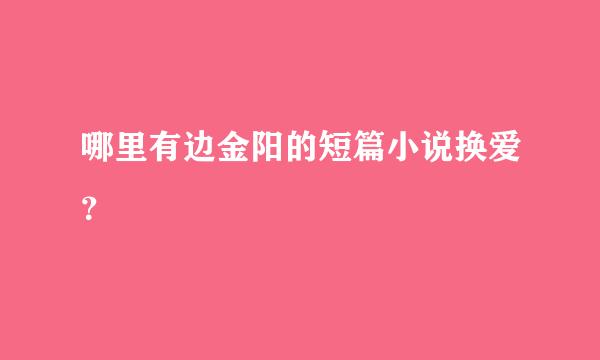 哪里有边金阳的短篇小说换爱？