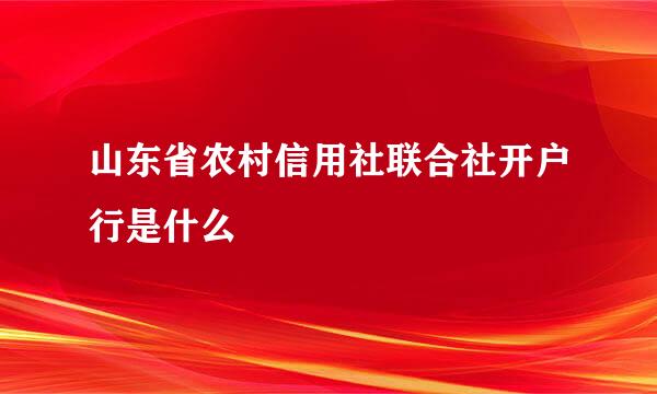 山东省农村信用社联合社开户行是什么