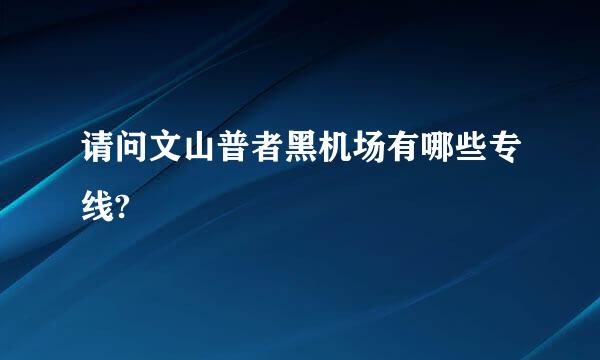 请问文山普者黑机场有哪些专线?