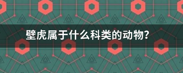 壁虎属于什么歌来烈随果科类的动物？