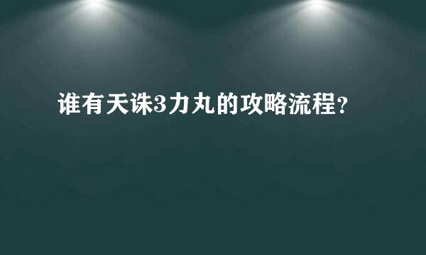 谁有天诛3力丸的攻略流程？