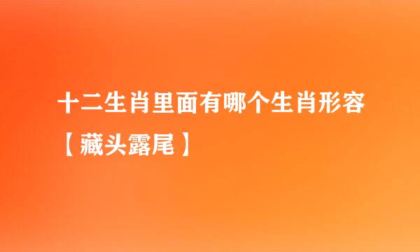 十二生肖里面有哪个生肖形容【藏头露尾】