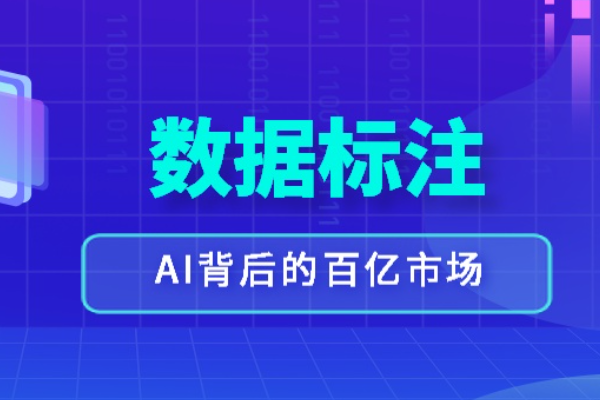 数据标注员的主要职责