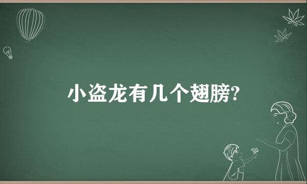 小盗龙有几个翅膀?